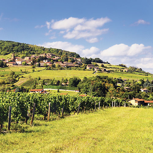 Quincié-en-Beaujolais est situé à 34 km de Mâcon, 17 km de Villefranche-sur-Saône, 45 km de Lyon.