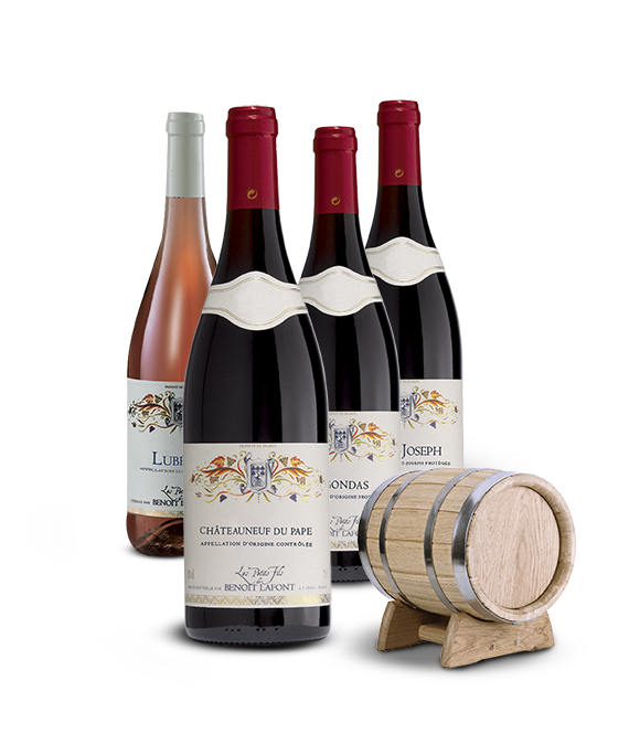 Nos vins de la Vallée du Rhône