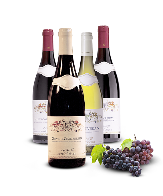 Les vins de Bourgogne